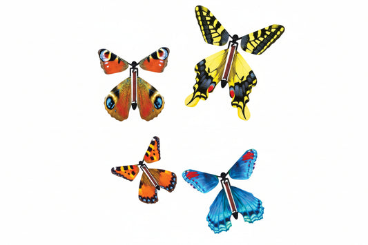 Flutter-by Butterfly